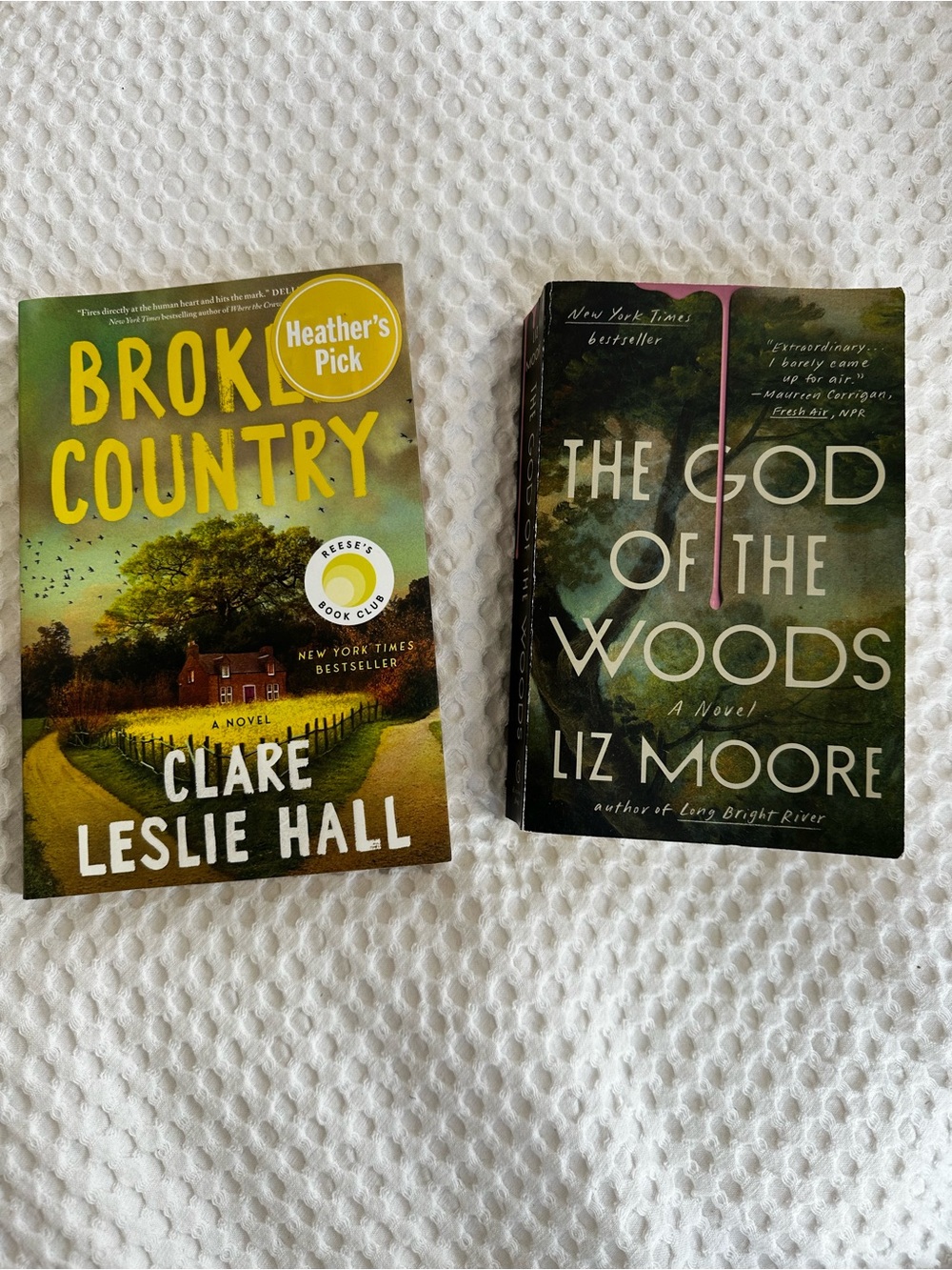Clare Leslie Hall Broken Country & Liz Moore God of the Woods